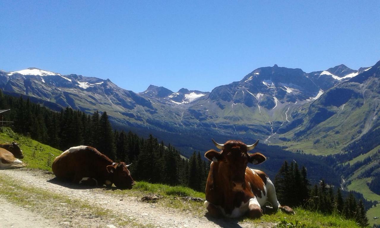Fruehstuecks- Pension Sonnblickhof Rauris Kültér fotó